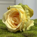 Желто-зеленый