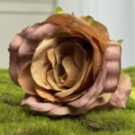 Коричневый