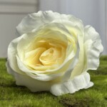 Бело-желтый