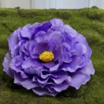 Світло-фіолетовий