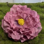 Брудно-рожевий