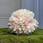 Біло-рожевий