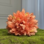 Персиковий