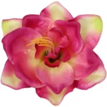 Кремово-бордовий