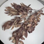 Коричневий