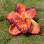 Коричневий