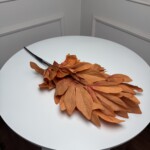 Помаранчевий