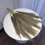 Коричневий