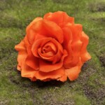 Помаранчевий