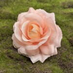 Персиковий