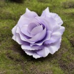 Біло-фіолетовий