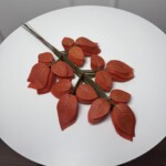 Помаранчевий