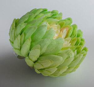 GH001 Хризантема Премиум Класса d=14 cm. h=8 cm. 12 штук