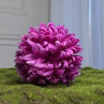 Темно-сиреневый