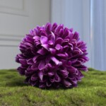 Фиолетовый