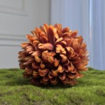 Коричневый