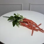 Кораловий