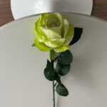 бело-салатовый