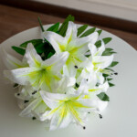 Біло-салатовий