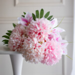 Світло-рожевий