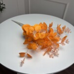 Помаранчевий