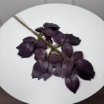 Фіолетовий