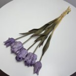 Фіолетовий