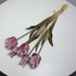 Біло-малиновий