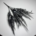 Чорно-білий