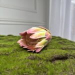 Рожево-жовтий