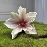 Бело-розовый