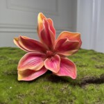 Ярко-коралловый