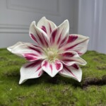 Бело-малиновый