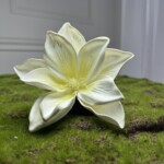 Бело-желтый