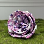 Бело-малиновый