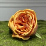 Помаранчево-Жовтий