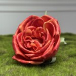 Ярко-коралловый