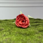 Ярко-коралловый