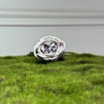 Бело-фиолетовый