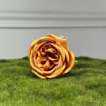 Помаранчево-Жовтий