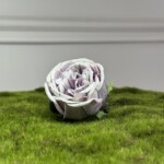 Бело-фиолетовый