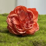 Ярко-коралловый