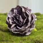 Серо-лиловый