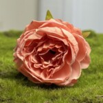 Пастельный