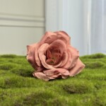 Ніжно-персиковий