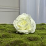 Біло-жовтий