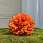 Помаранчево-Жовтий