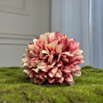 Біло-рожевий