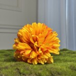 Жовто-бордовий