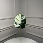 Біло-салатовий